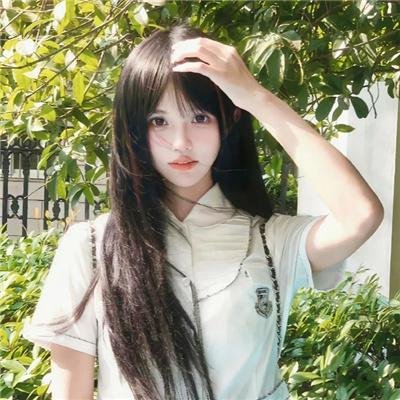 宠物情人
